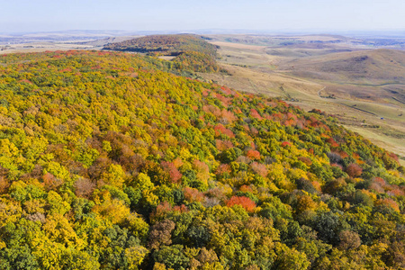 鸟瞰秋天赋予森林美丽的树木颜色的十月。