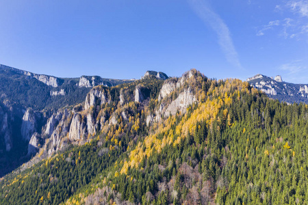 秋山景观，有黄色落叶松和石岩形成在喀尔巴阡山