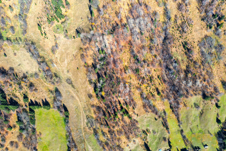 秋天牧场和树木的无人机视图