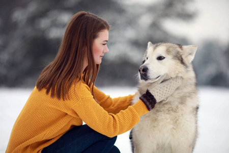 女孩坐在一只狗旁边阿拉斯加马拉穆特，在冬天拥抱他散步。 特写镜头。