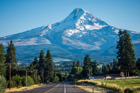 s Fruit Loop with Mt. Hood mountain looming in the background in