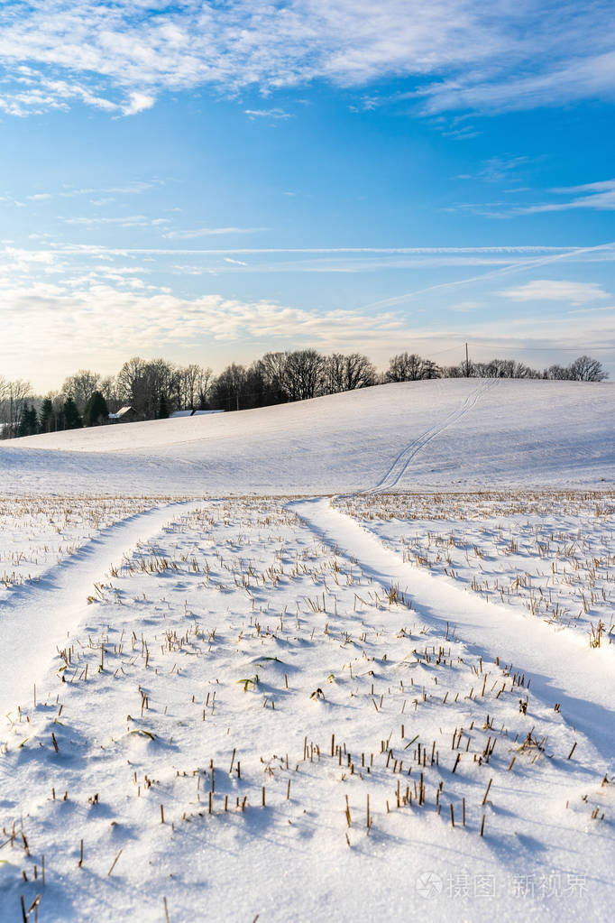 阳光明媚的冬日,空旷的乡村景观,积雪覆盖地面,抽象的背景,深邃的外观