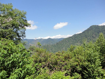 阿巴拉契亚山脉的山顶景观。 夏日晴空下的森林和山脉