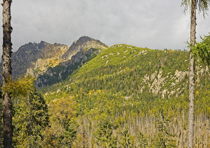 从赫里比诺克和寒冷的吱吱声山谷，高高的塔特拉斯山脉在云层中山峰。 阳光照亮了森林，白雪覆盖了岩石峰