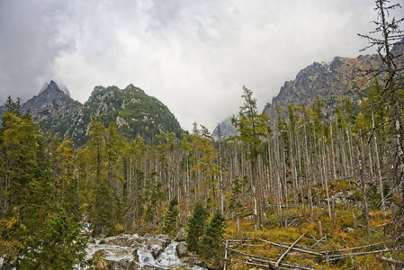 山谷和山峰在高高的塔特拉斯山，寒冷的吱吱声瀑布和森林在前景。