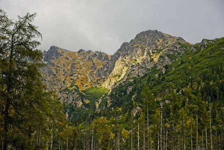 从赫里比诺克和寒冷的吱吱声山谷，高高的塔特拉斯山脉在云层中山峰。 阳光照亮了森林，白雪覆盖了岩石峰