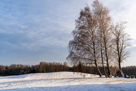 空旷的乡村景观在阳光明媚的冬日，积雪覆盖地面，抽象的背景概念，乐趣和快乐