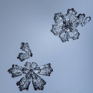 浅蓝色背景上美丽的雪花，近距离