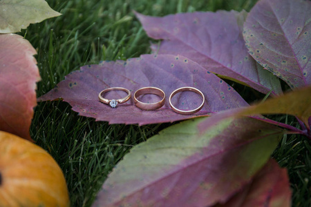 金色的结婚戒指躺在草地上的南瓜上