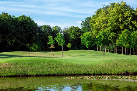 草地落叶睡莲池塘靠近草地,有波浪状的丘陵景观,有绿色的草坪和落叶树