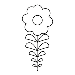 花茎在白色背景