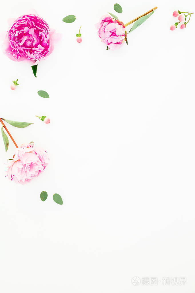 牡丹花 金丝桃和白桉叶的花框 平躺式顶部视图照片 正版商用图片177bvv 摄图新视界