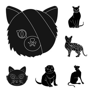 宠物和 sphynx 徽标的矢量插图。一套宠物和有趣的股票符号的网络