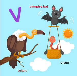 插图孤立字母表字母v吸血鬼蝙蝠viperulture。
