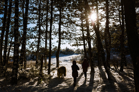 两个姐妹一起走过冬天的森林图片