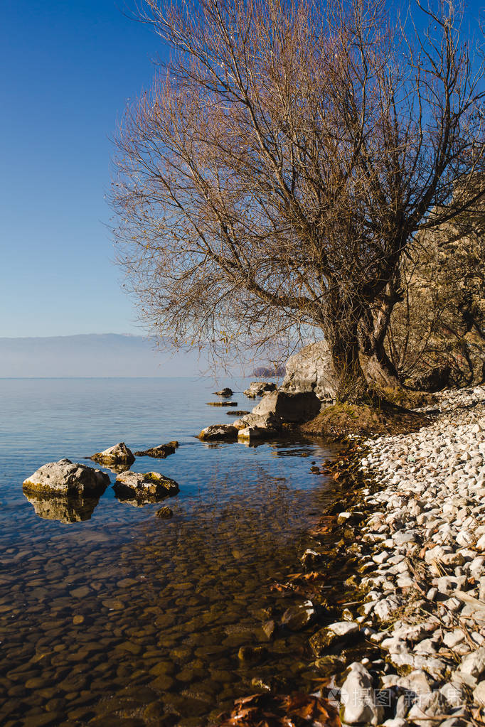 秋天的河流岸边有岩石和树木
