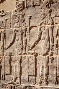 阿斯万古象形文字中的埃及菲莱寺