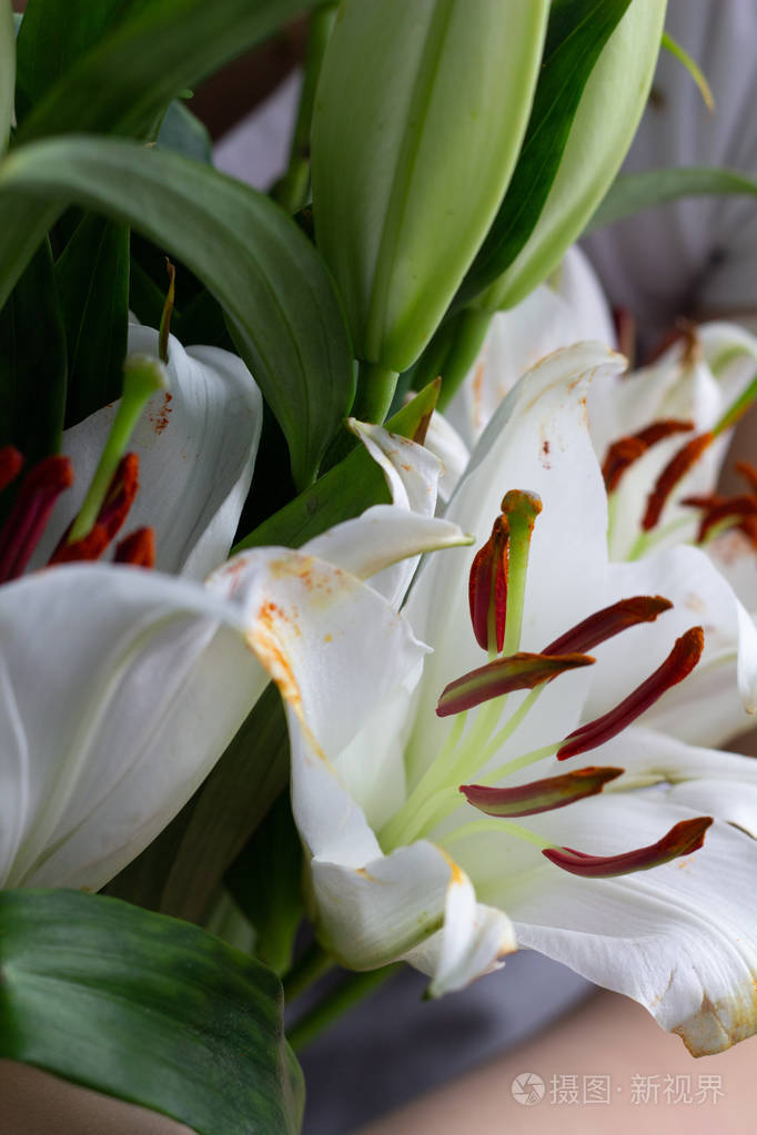 手里捧着一束百合花