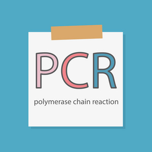 写在笔记本纸载体插图上的聚合酶链反应