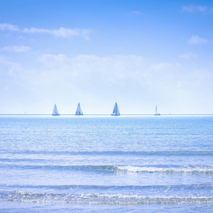 帆船游艇或帆船集团在海上或海水上的比赛。 全景。