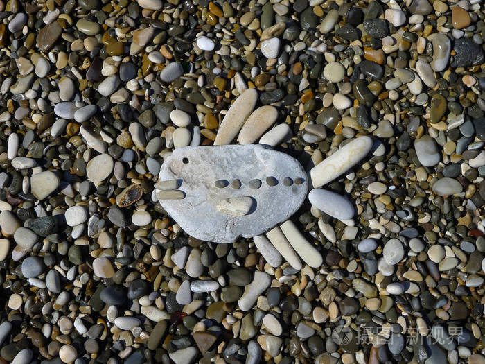手做的鱼是石头在做的背上