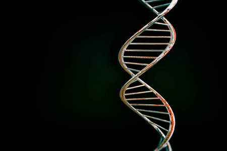 DNA双螺旋红色光泽，深色背景