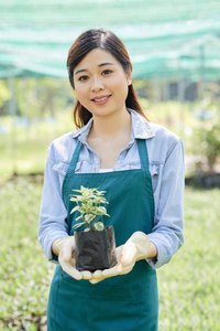 戴着围裙的亚洲年轻花匠的肖像，手里拿着年轻的绿色植物