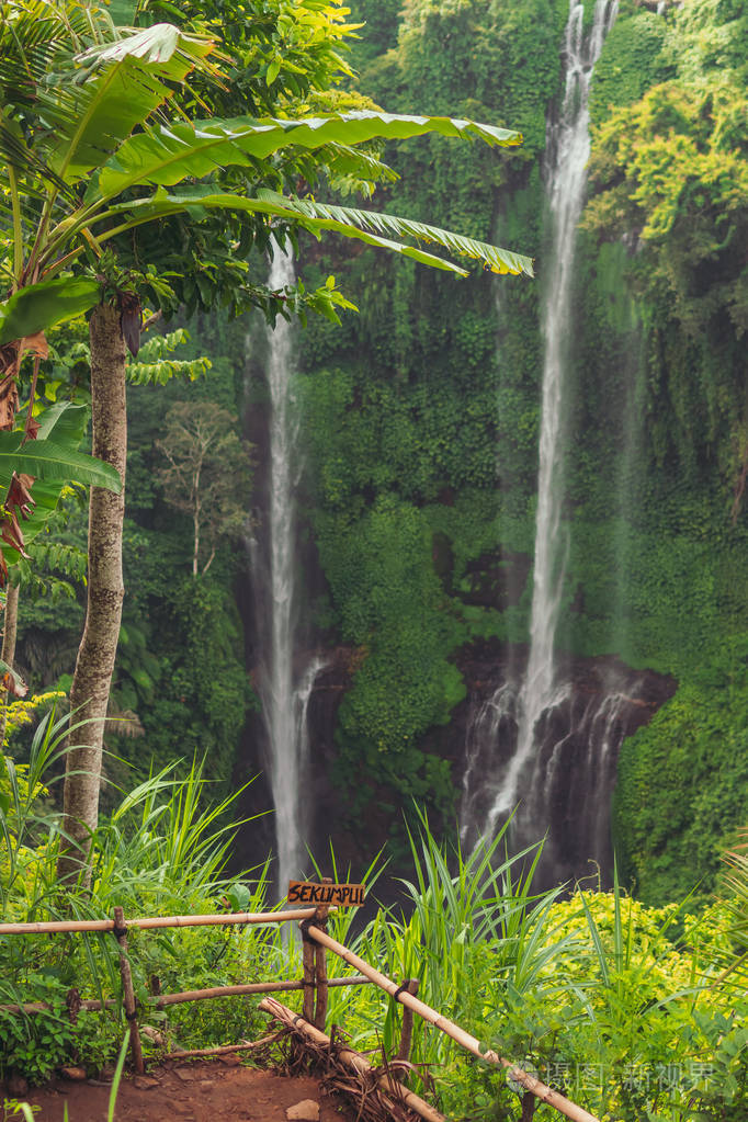 印度尼西亚巴厘岛绿色热带雨林中的sekumpul瀑布