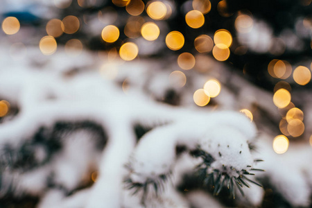 圣诞树上的圣诞树上的圣诞树上的树枝上挂满了金黄色的灯光