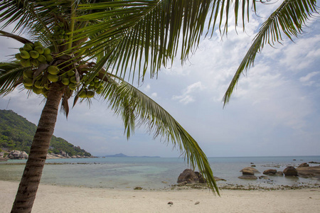 泰国KohSamui岛珊瑚湾海滩景观