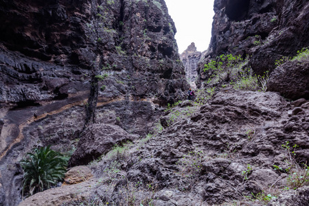 在马斯卡峡谷徒步旅行。火山岛。西班牙加那利岛特内里费岛的山脉