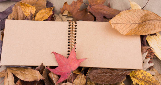 以秋天落叶为背景的空白笔记本