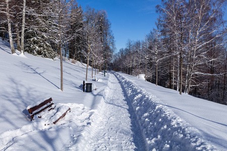 冬天下雪的场景,雪花飘落. 多雪的冬季景观. 降雪期间的冬季公园.