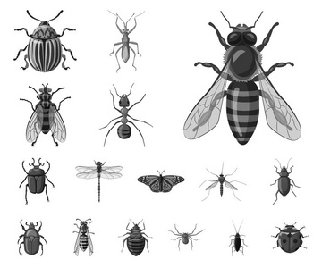 昆虫和飞行符号的孤立对象。股票昆虫和元素矢量图标集