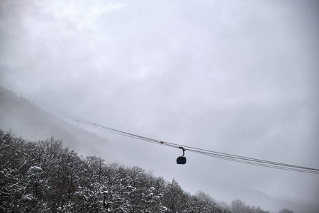 s cold and beautiful. Trees in the snow. Fog, drizzle, ice. Blue