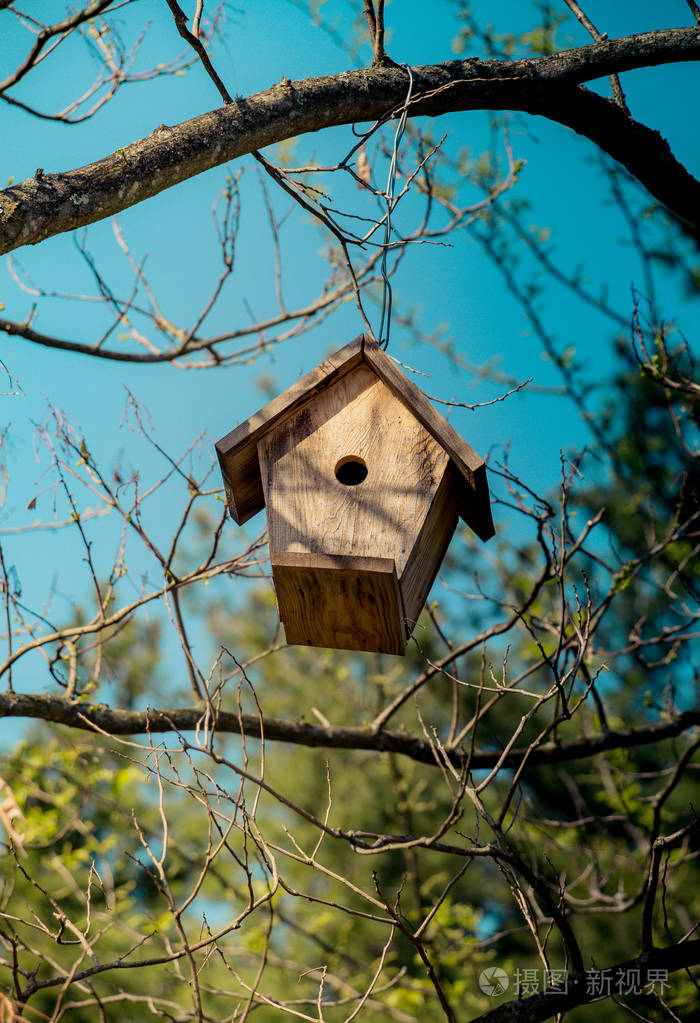 鸟的房子由木头制成