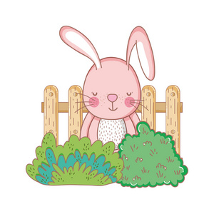 小兔子在花园里的矢量插图设计