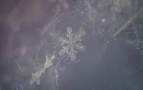 雪花特写。软焦点宏照片。水晶般清澈的冰。冬天。浅景深。圣诞节的主题。圣诞节背景为布局