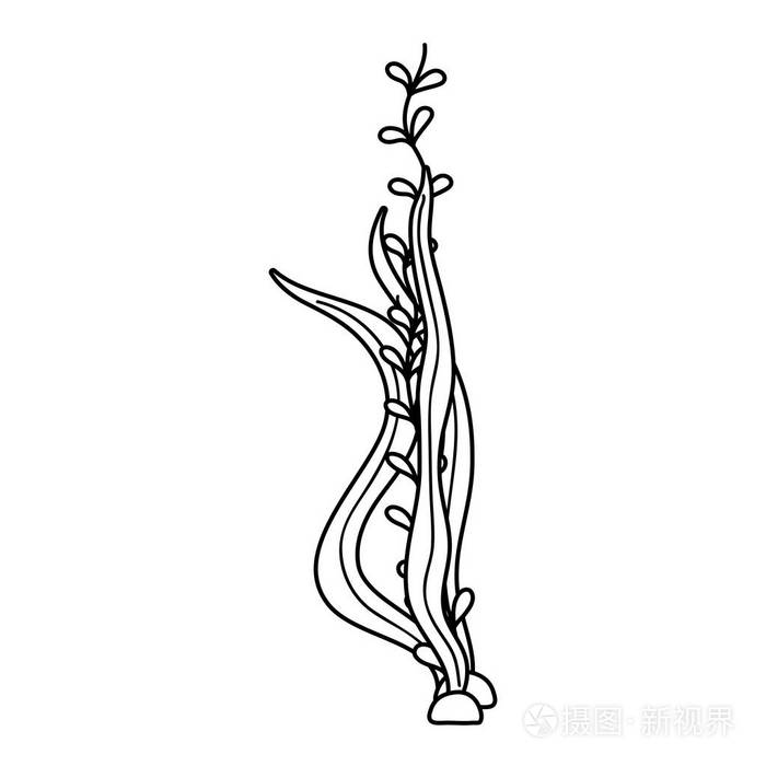 海藻水下自然图标矢量图设计插画-正版商用图片1790vt-摄图新视界