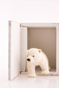 白色木箱和白色背景上的北极熊