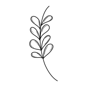 带叶的分枝植物矢量插图设计