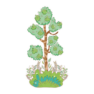 园林矢量插图设计的乔木植物