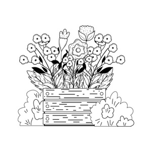 花园灌木与花卉矢量插图设计