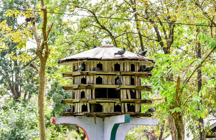 花园里的鸽子窝照片-正版商用图片179jwc-摄图新视界