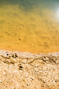 池塘脏泥水质地背景