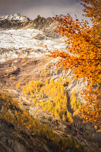 瓦尔马西诺它梅洛山谷秋季概览