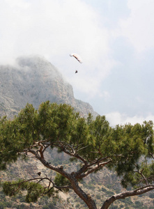 山景滑翔伞