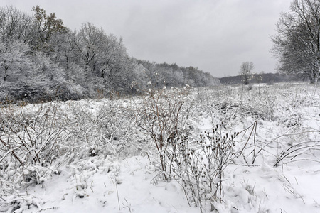 Novomoskovsk是乌克兰dnipropetrovsk地区的一个城市，是Novomoskovsk地区的区域中心。