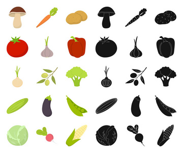 不同种类的蔬菜卡通, 黑色图标在集合集合设计。蔬菜和维生素矢量符号股票网络插图