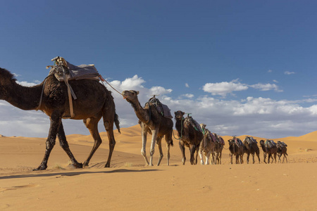 s largest hot desert, Africa